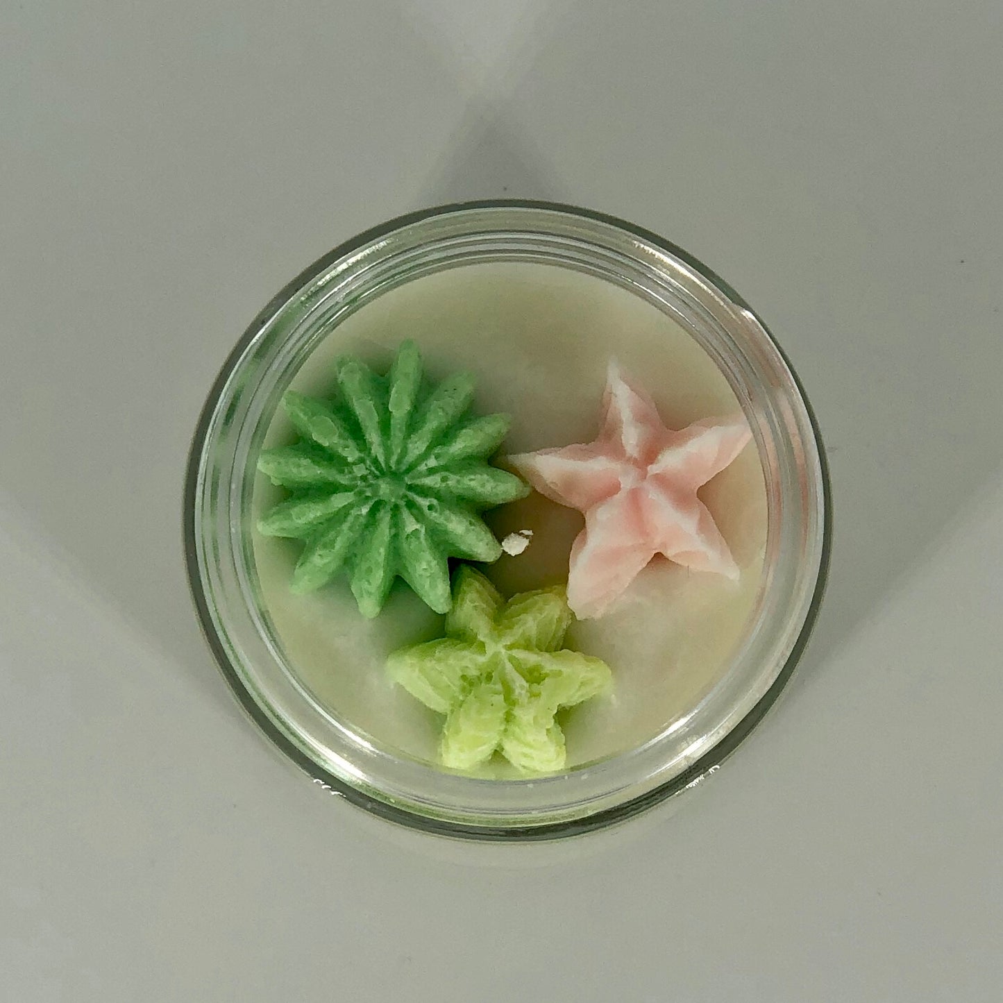 Succulent Soy Candle in Green and Pink