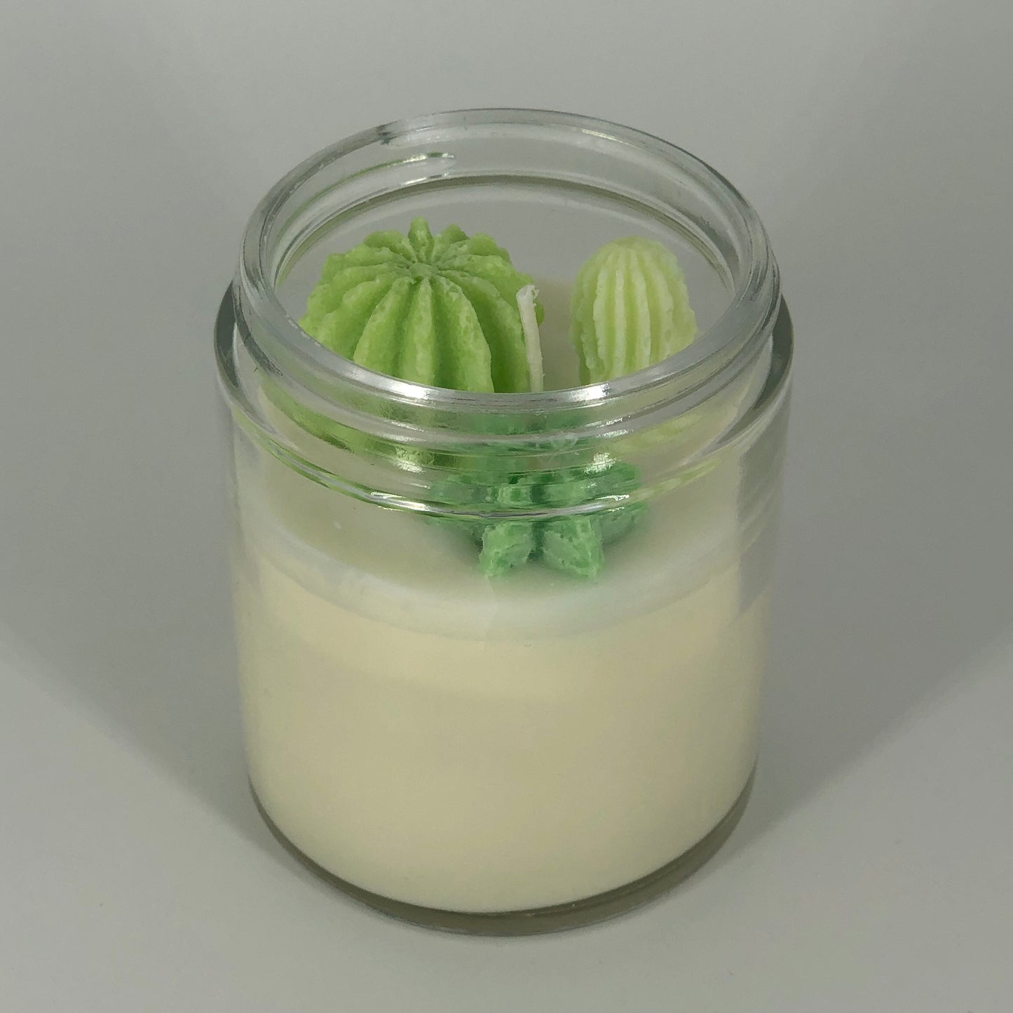 Succulent Soy Candle in Green