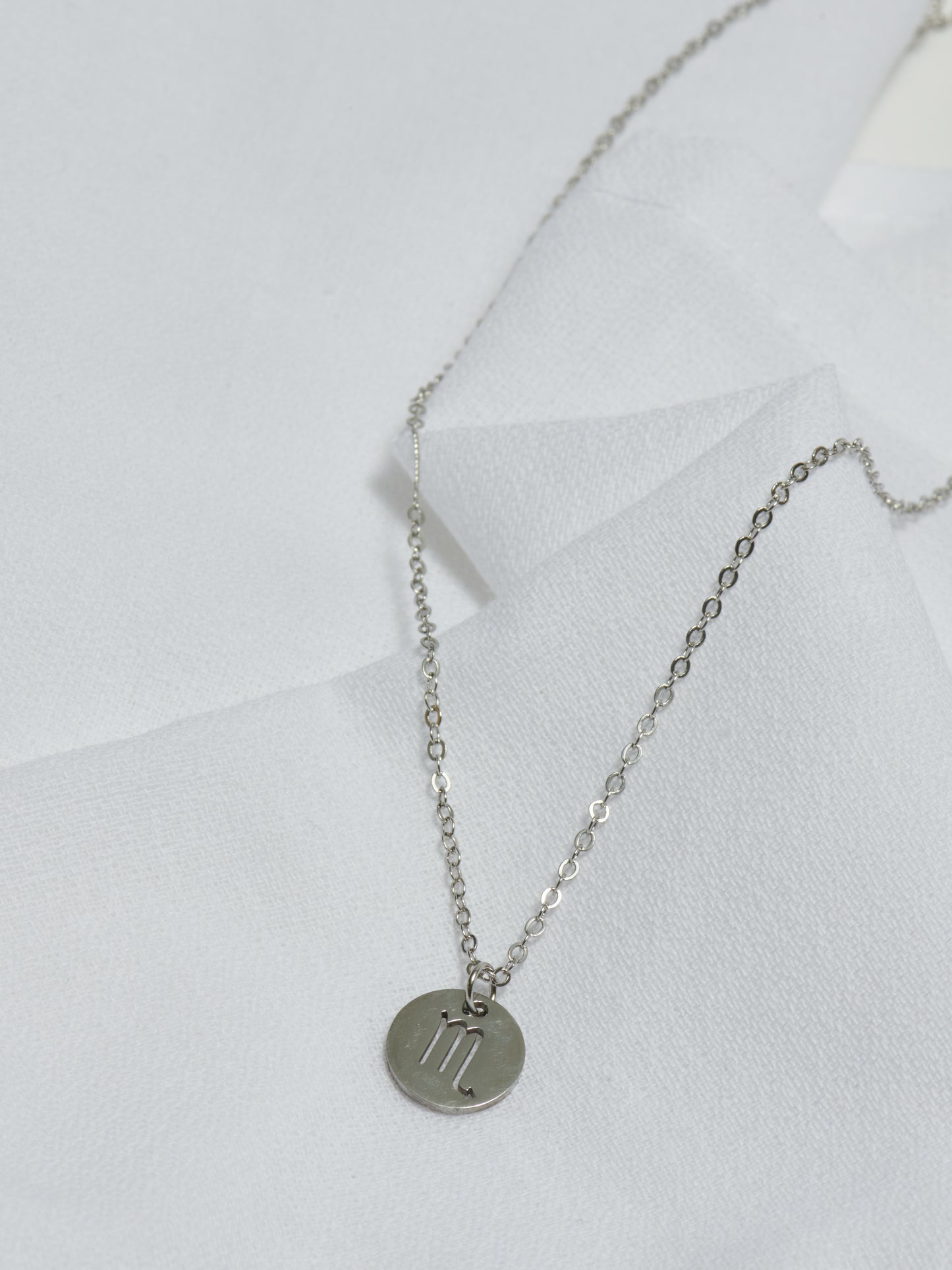 Stainless Steel Zodiac Necklace